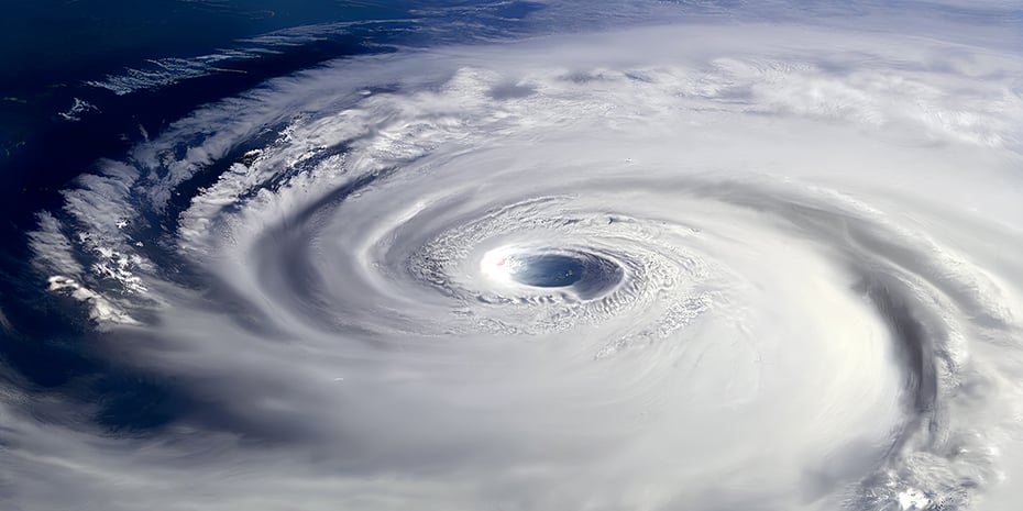 leveraging-data-cat-response-blog