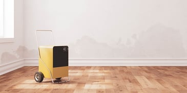 How Heaters and Air Movers Remove Moisture