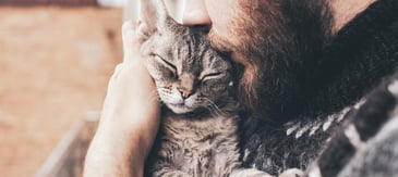 NationalPetDayBanner
