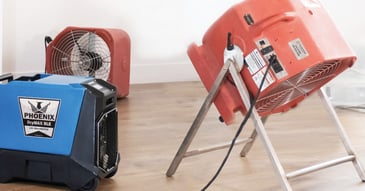 Expert insight: 10 things a top trainer thinks every restorer should know