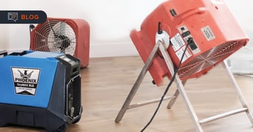 10 things every restorer should know: Expert insights