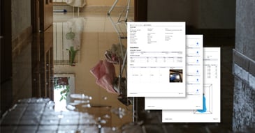 Disaster mitigation Reports