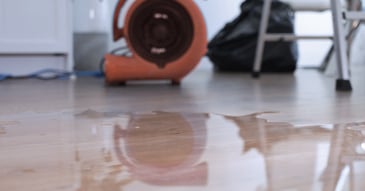 5 common restorative drying questions with industry expert Ken Larsen