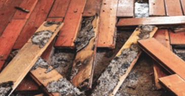 Encircle Helps Superior Restoration DKI Improve Insurance KPIs