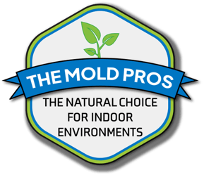 the-mold-pros-logo