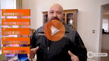 Quick Tips - Five Essentials for Initial Reports