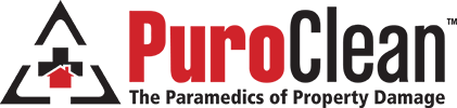 PuroClean-logo-web