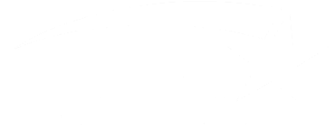 prostar-logo-white