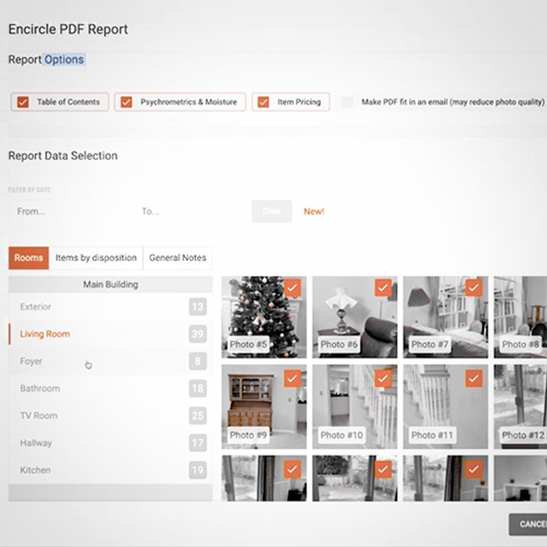 create-instant-reports-thumbnail