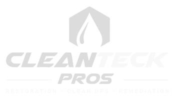 CleanTeck Pros use Encircle Floor Plan