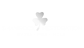 Shamrock Restoration use Encircle Hydro